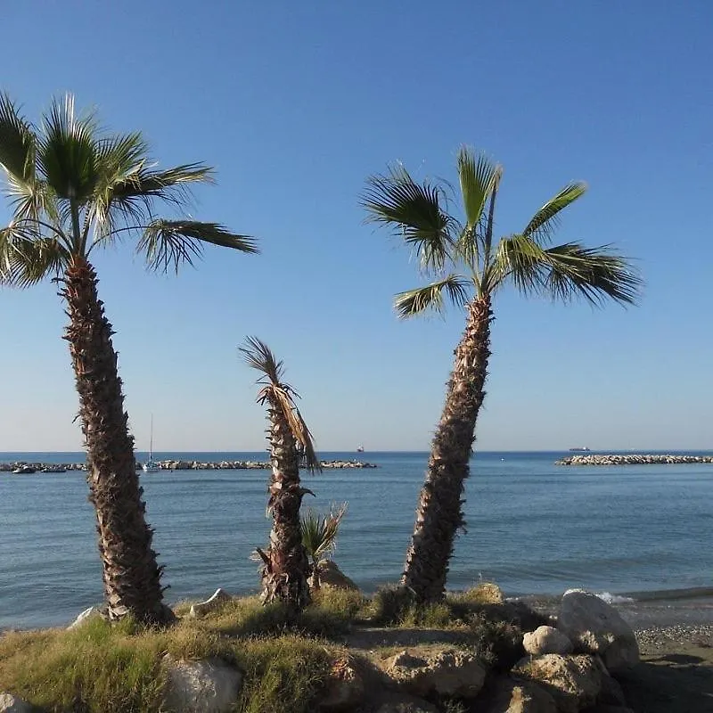 Sea View Penthouse Lägenhet Larnaca